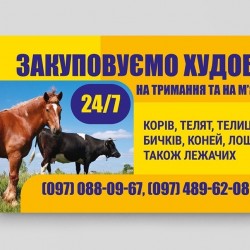 Закупивля худоби 