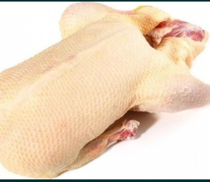 Продам м ясо качки