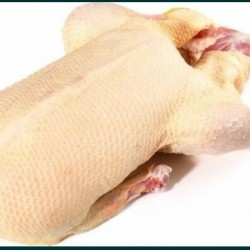 Продам м ясо качки